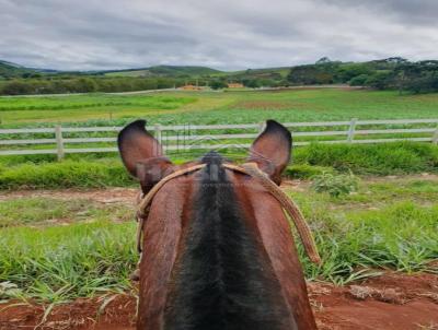 Haras para Venda, em Lagoinha, bairro Bairro do Porto